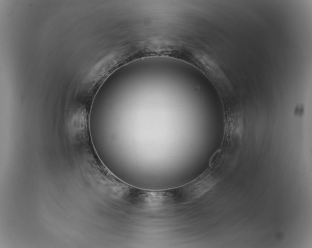 X0000111930623200907271314