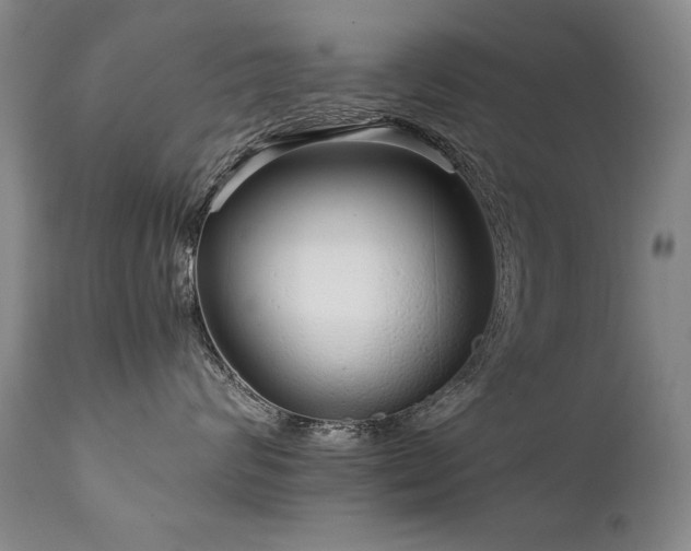 X0000111930624200907271314