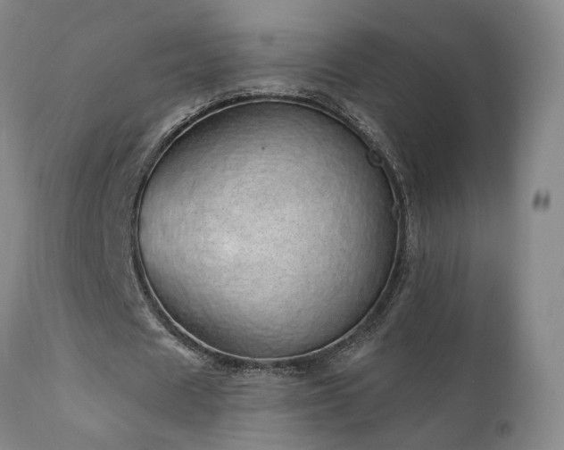 X0000111930625200907271314