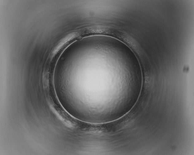 X0000111930626200907271314