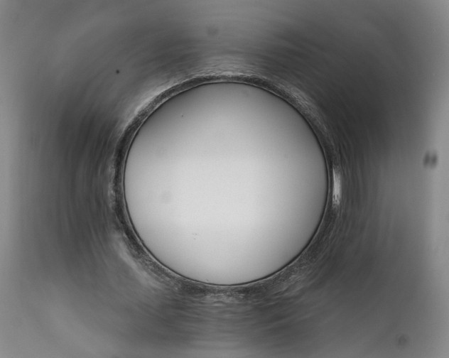 X0000111930627200907271314