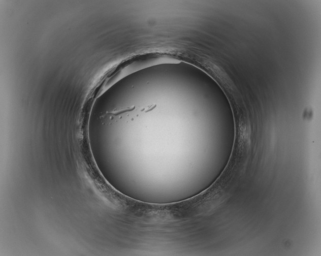 X0000111930628200907271314