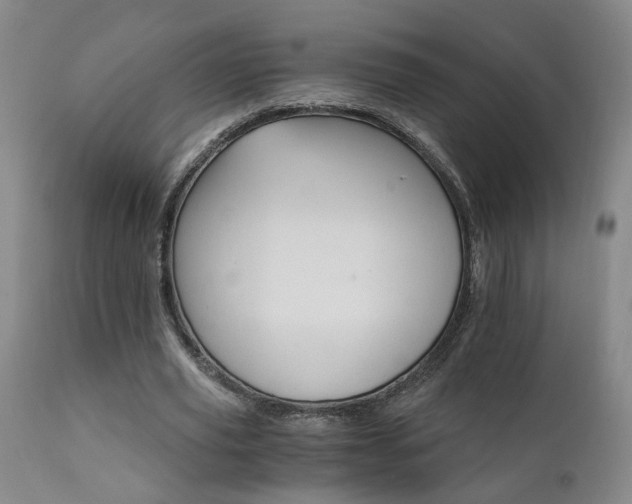 X0000111930629200907271314