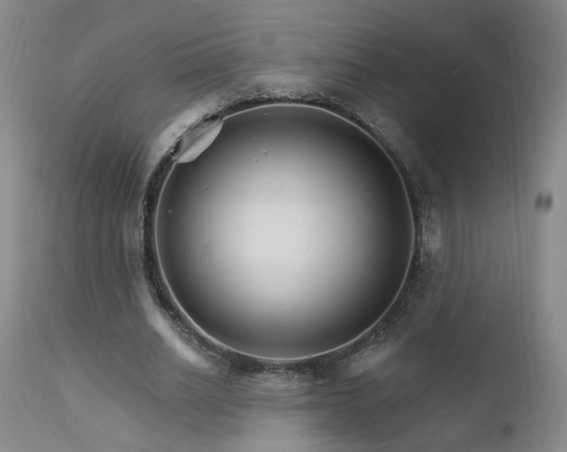 X0000111930630200907271314