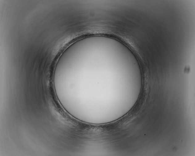 X0000111930631200907271314
