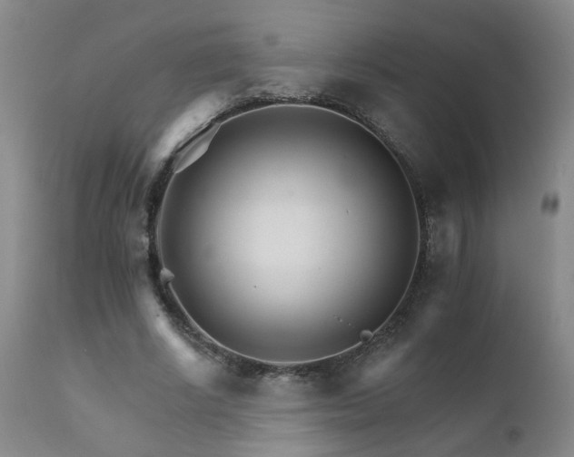 X0000111930634200907271314