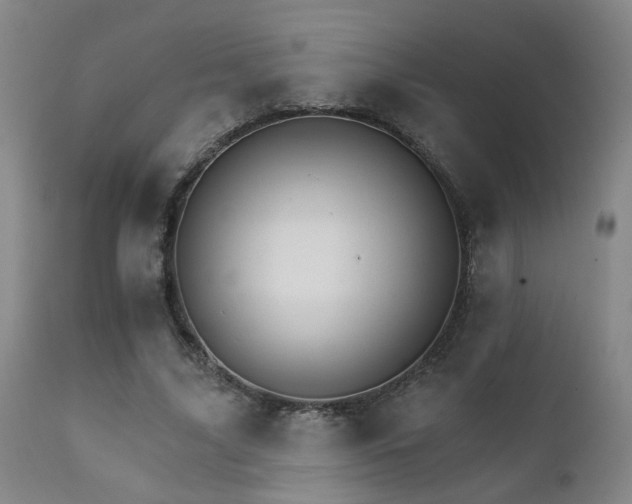X0000111930635200907271314