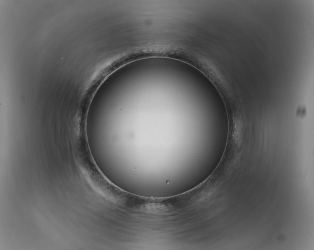 X0000111930636200907271314