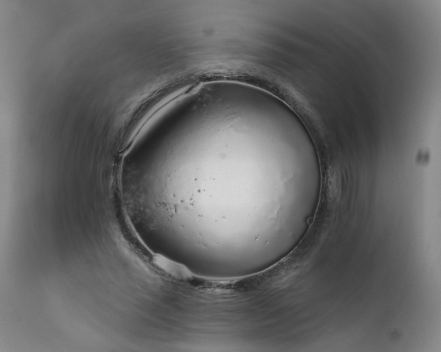 X0000111930637200907271314