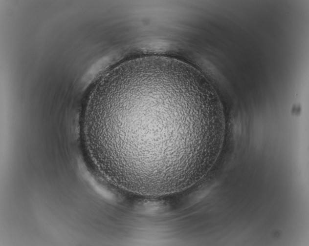 X0000111930638200907271314