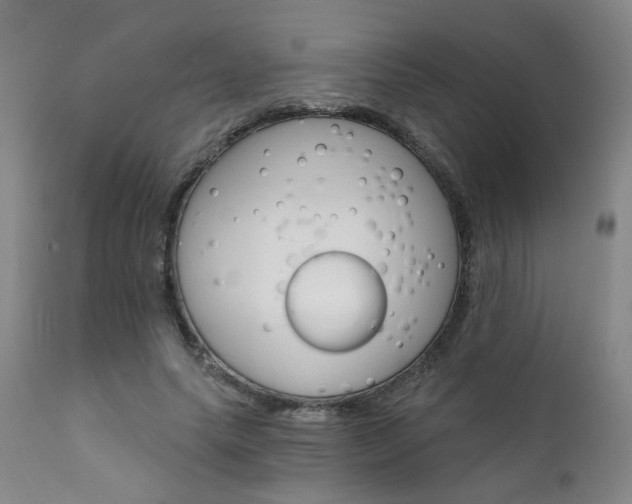 X0000111930639200907271314