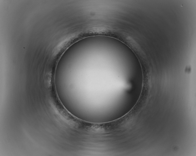X0000111930640200907271314