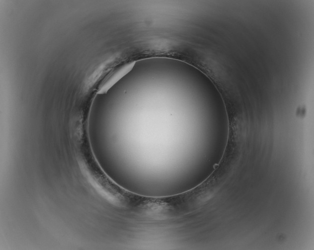 X0000111930642200907271314