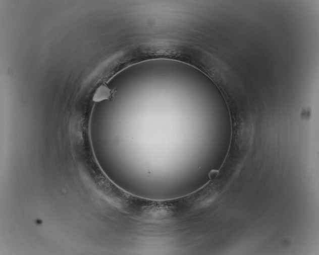 X0000111930643200907271314