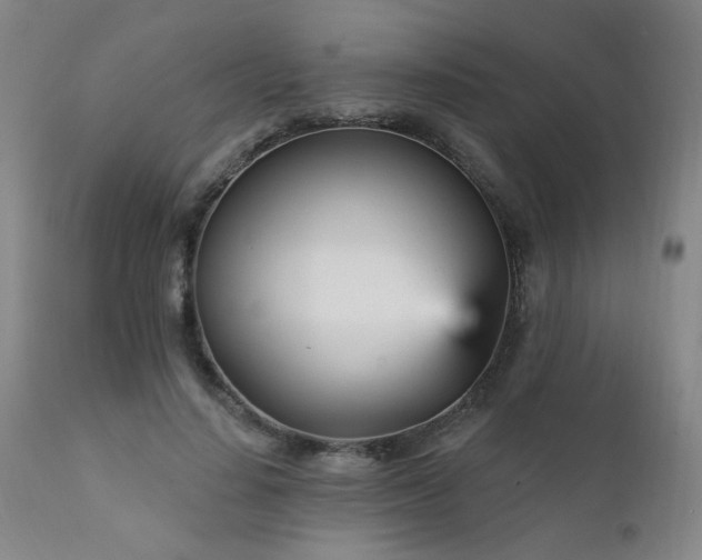 X0000111930644200907271314