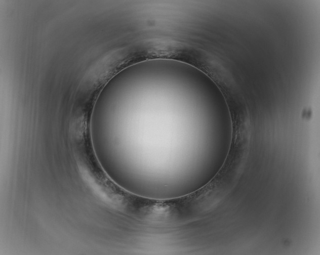 X0000111930647200907271314