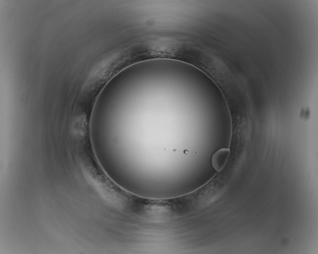 X0000111930649200907271314