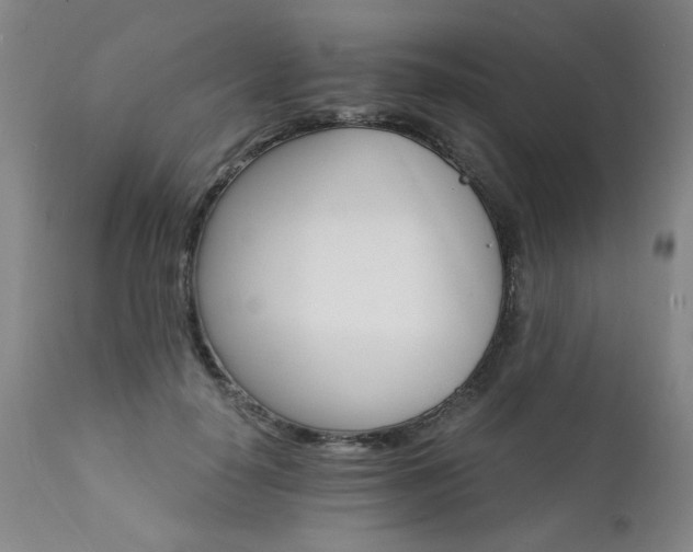 X0000111930650200907271314