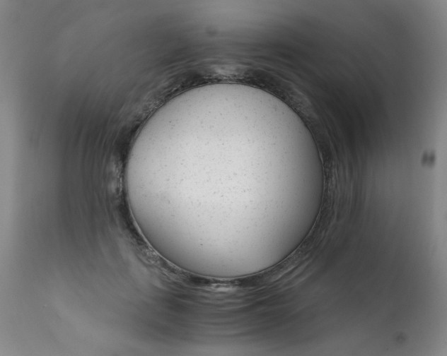 X0000111930651200907271314