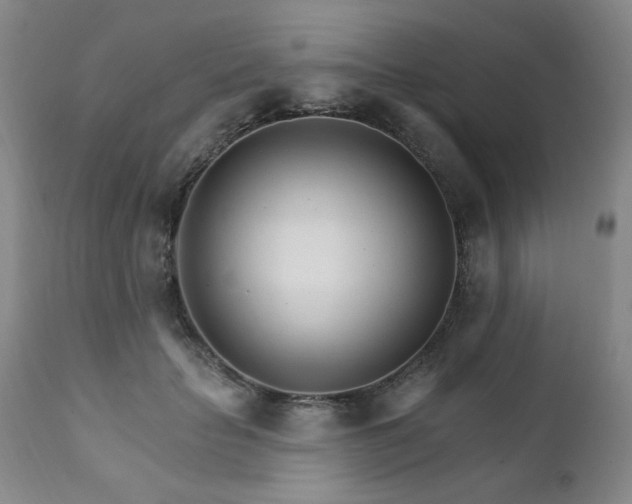 X0000111930653200907271314