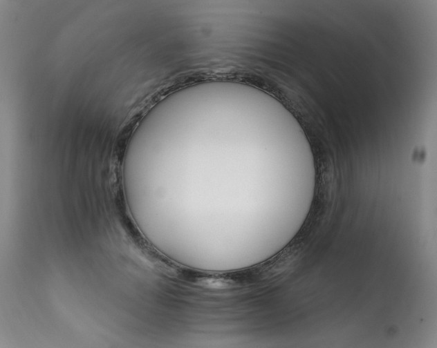 X0000111930654200907271314