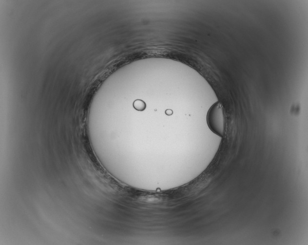 X0000111930655200907271314