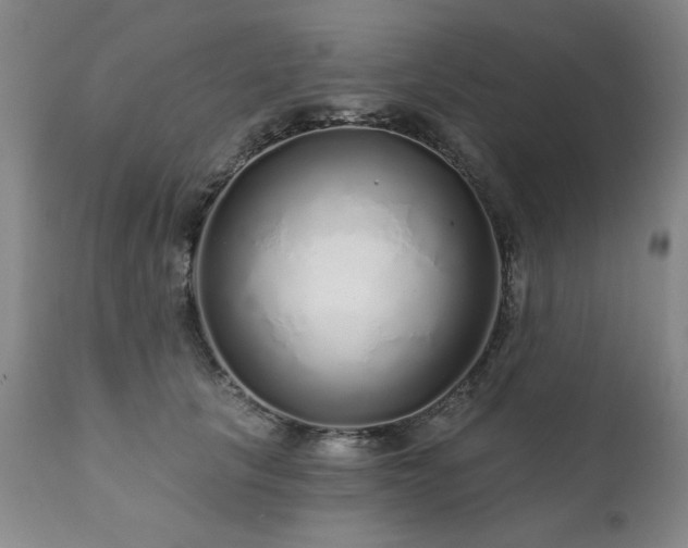 X0000111930657200907271314
