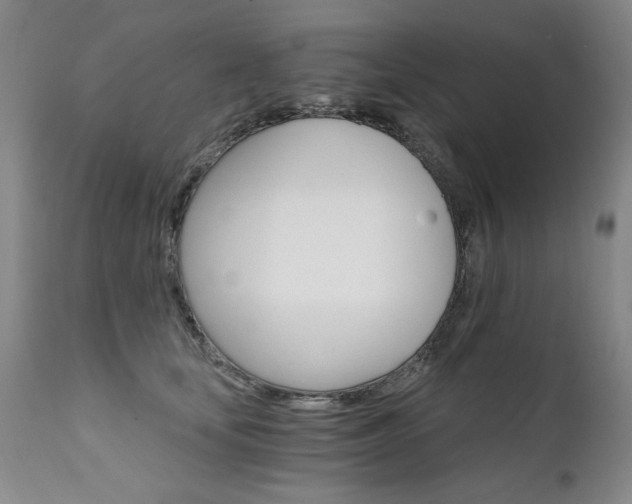 X0000111930659200907271314