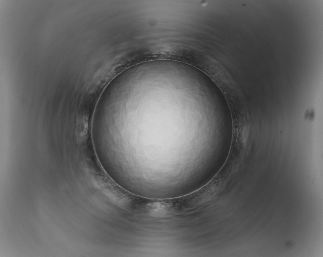 X0000111930660200907271314