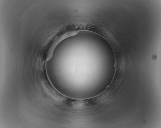 X0000111930661200907271314