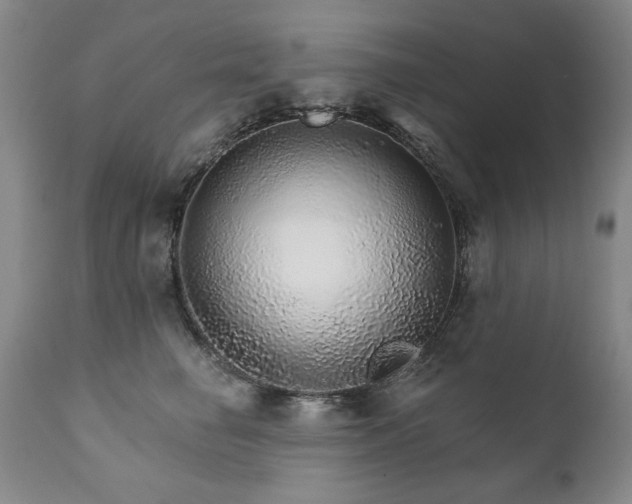 X0000111930662200907271314