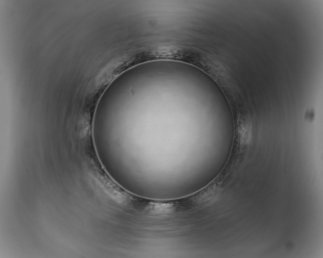 X0000111930665200907271314