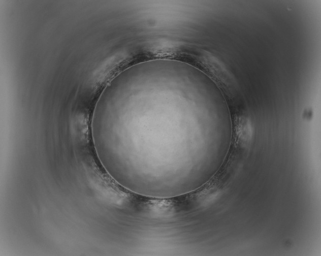X0000111930667200907271314