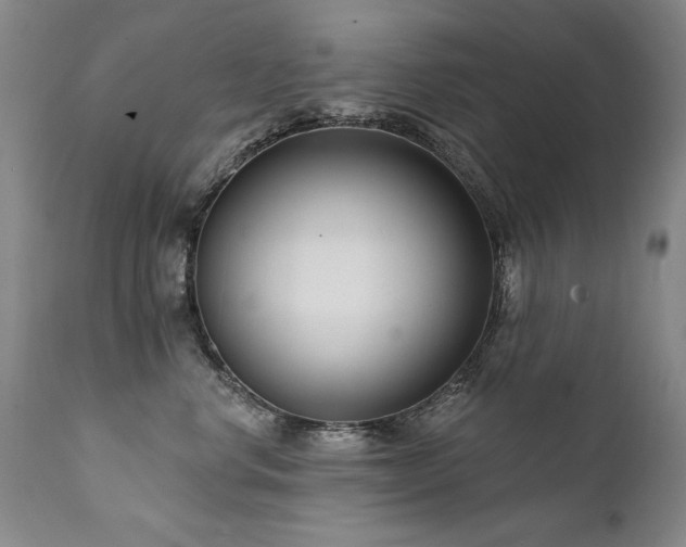 X0000111930668200907271314