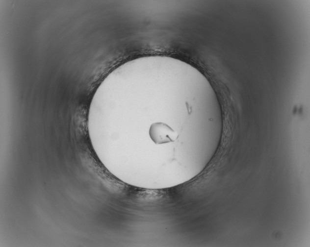 X0000111930672200907271314