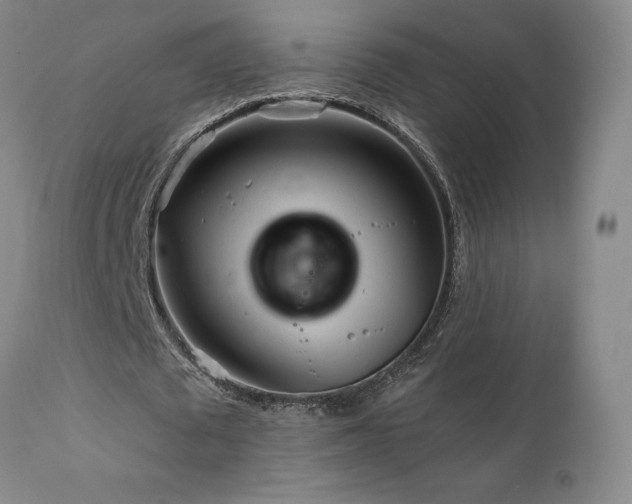 X0000111930673200907271314