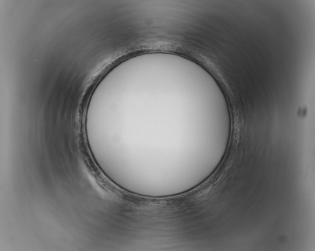 X0000111930674200907271314