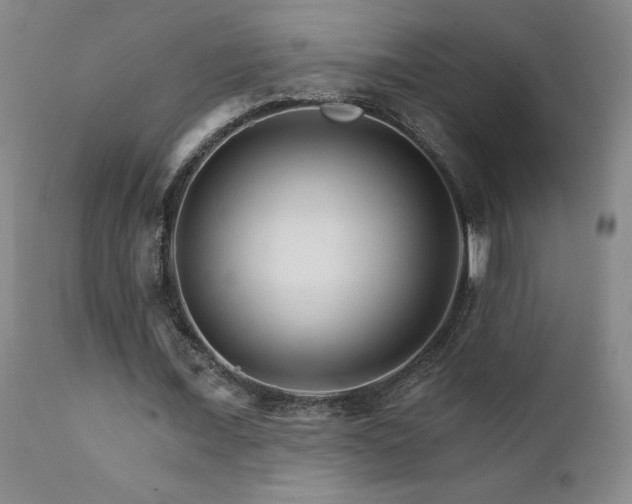 X0000111930675200907271314