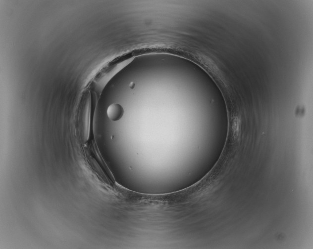 X0000111930676200907271314