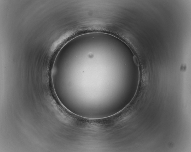 X0000111930677200907271314