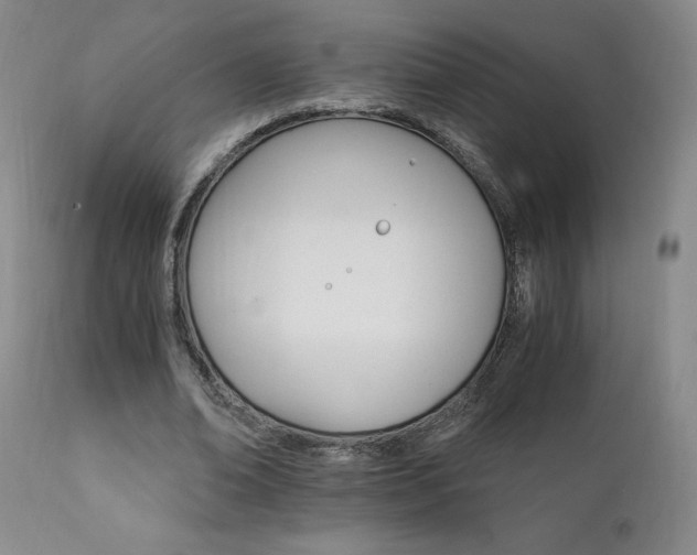 X0000111930678200907271314