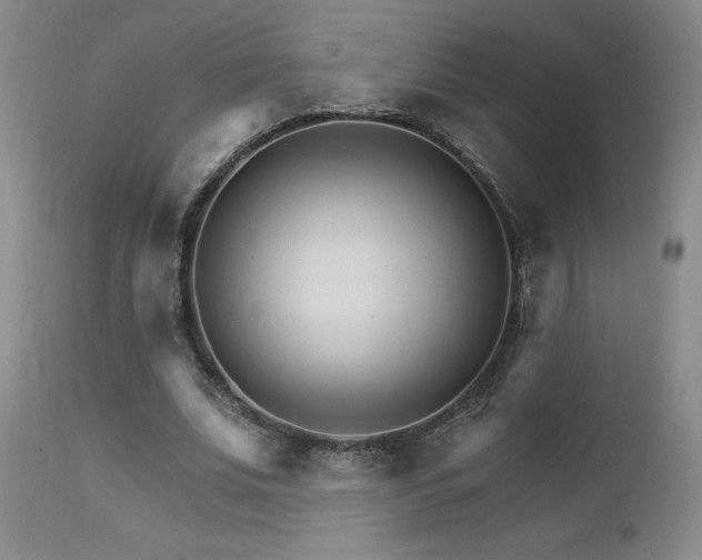 X0000111930679200907271314