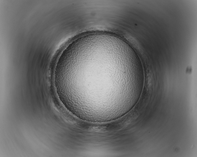 X0000111930680200907271314
