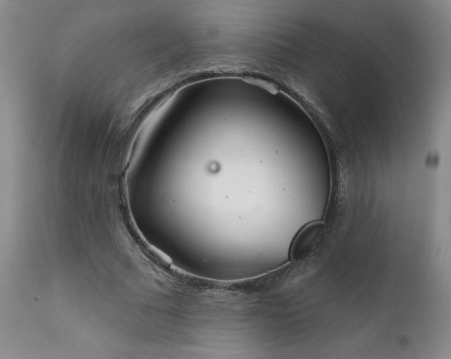 X0000111930681200907271314