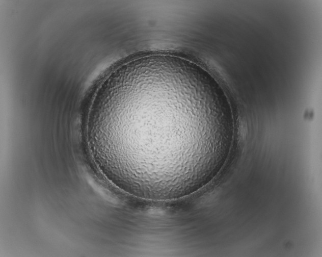 X0000111930684200907271314