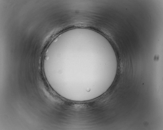 X0000111930686200907271314
