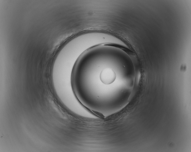 X0000111930688200907271314