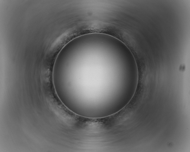 X0000111930689200907271314