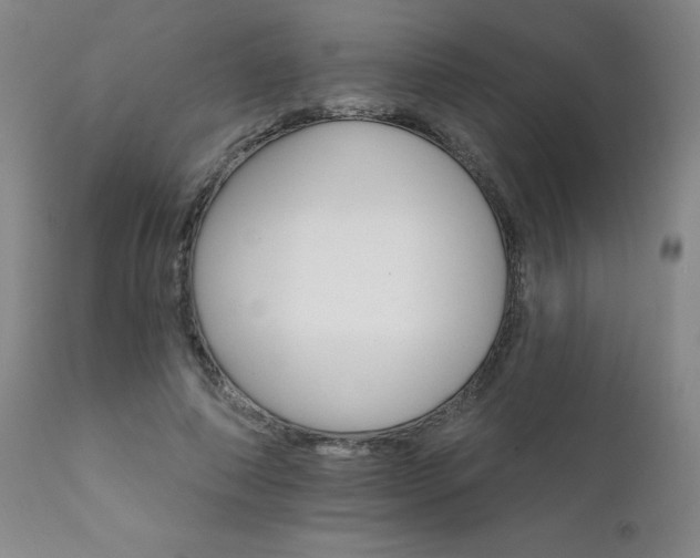 X0000111930690200907271314