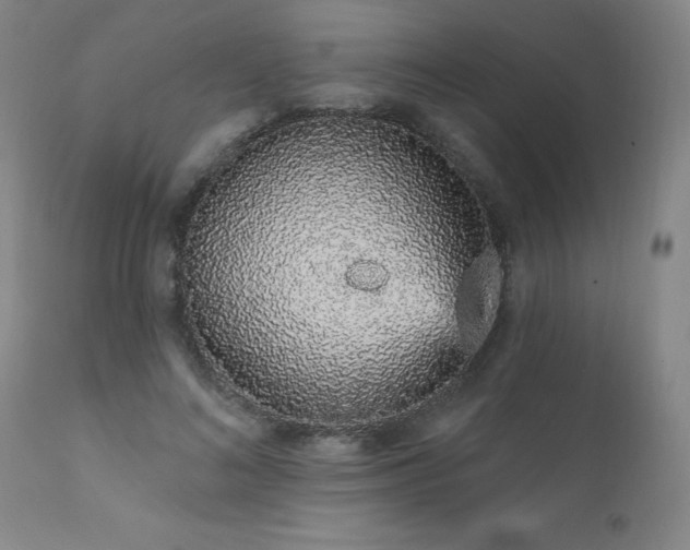 X0000111930692200907271314